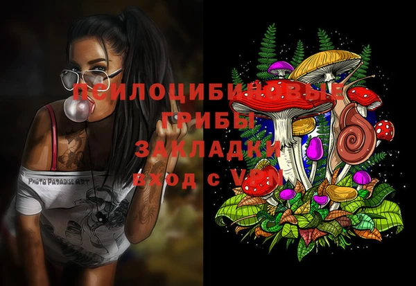 a pvp Новочеркасск