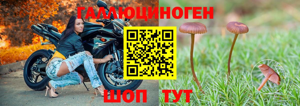 Ступино  закладки  Вход с VPN  Псилоцибиновые грибы Magic Shrooms 