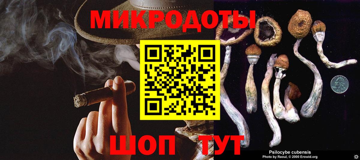 Псилоцибиновые грибы мицелий Ступино